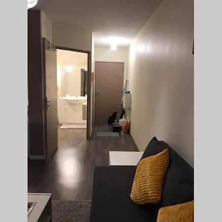 Studio Meuble En Privee,parking Gratuit Апартаменты *