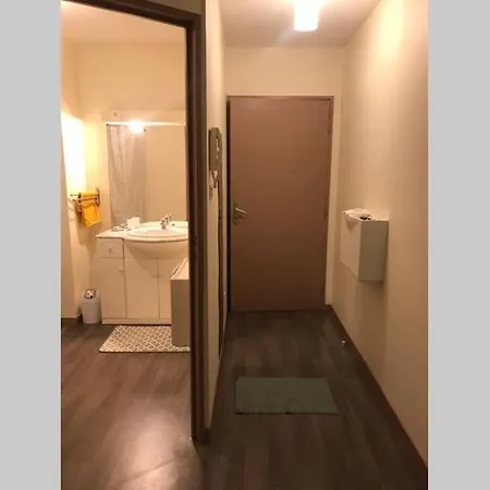Апартаменты Studio Meuble En Privee,parking Gratuit